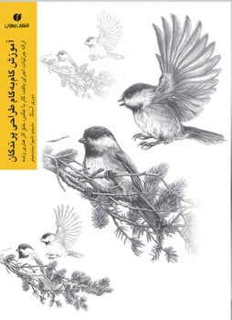 آموزش گام به گام طراحی پرندگان