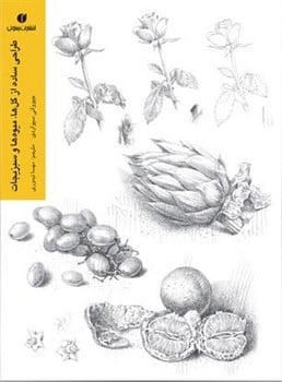 طراحی ساده از گلها میوه ها و سبزیجات
