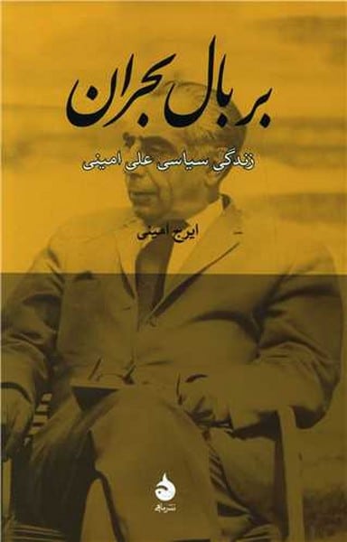 بر بال بحران (زندگی سیاسی )