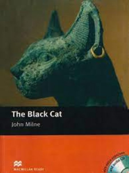 بوک وورم گربه سیاه The Black Cat