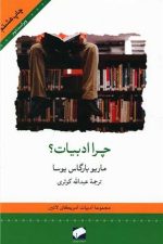 چرا ادبیات ؟