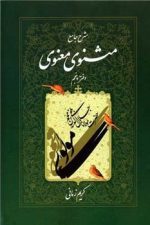 شرح جامع مثنوی معنوی دفتر پنجم