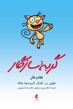 گربه سازگار (کتاب کار)