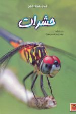 دنیای هیجان انگیز (1) حشرات