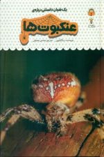 یک فنجان دانستنی درباره عنکبوت ها