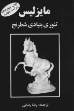 مایزلیس تئوری بنیادی شطرنج