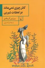 کاش چیزی نمی ماند جز لحظات شیرین