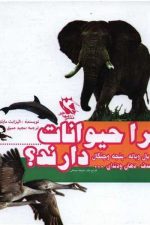 چراحیوانات دارند؟