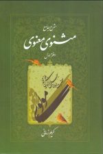 شرح جامع مثنوی معنوی دفتر اول