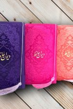 حافظ پالتویی ترمو رنگی داخل رنگی