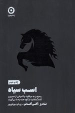 اسب سیاه (رسیدن به موفقیت و کامیابی از مسیری کاملا متفاوت از آنچه همه به ما می گویند)