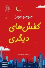 کفش های دیگر