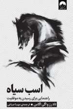 اسب سیاه راهنمایی برای رسیدن به موفقیت