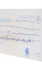 هنر جذب سرمایه برای استارت آپ ها