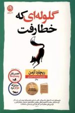 گلوله ای که خطا رفت