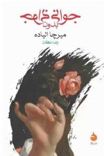 جوانی بدون جوانی