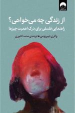 از زندگی چه می خواهی؟ (راهنمایی فلسفی برای درک اهمیت چیزها)