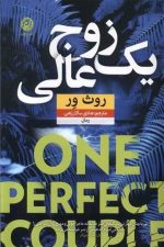 یک زوج عالی