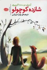 شازده کوچولو