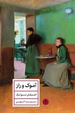 آموک و راز/ اشتفان تسوایگ/ پارسه